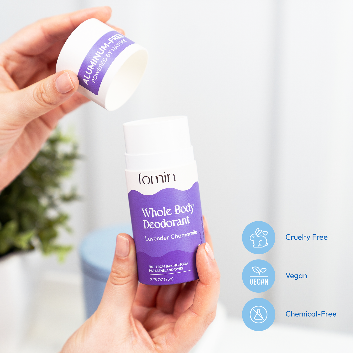 Deodorant Stick | 1 Pack