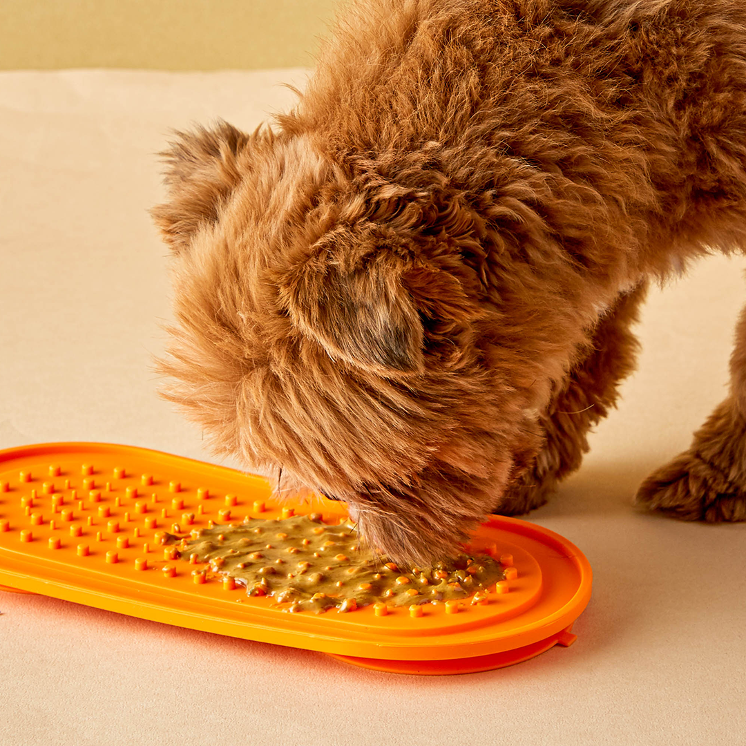 Oval Lick Mat w/ Suction Cups