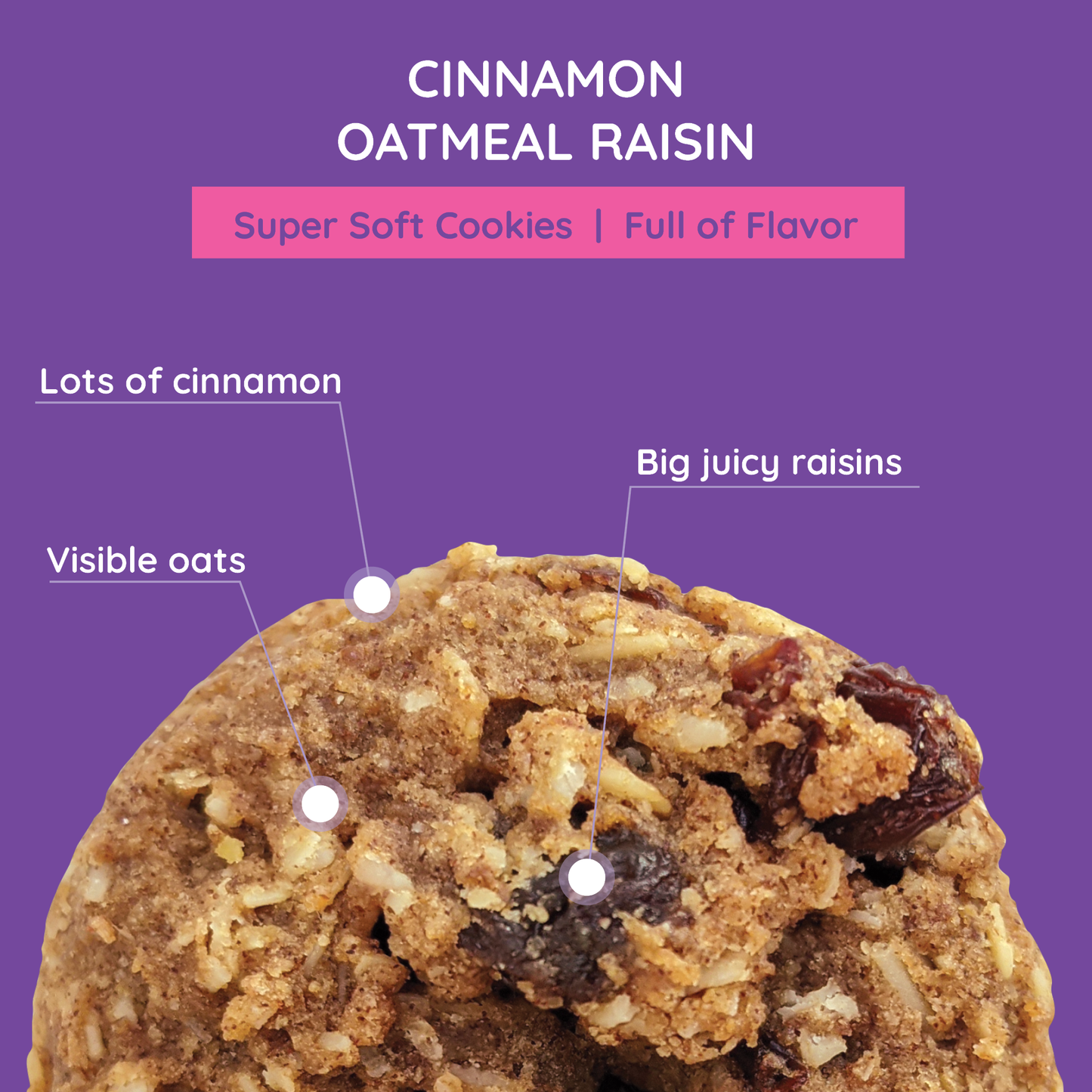 Soft Baked Cinnamon Oatmeal Raisin Cookies - 7.2 oz Box