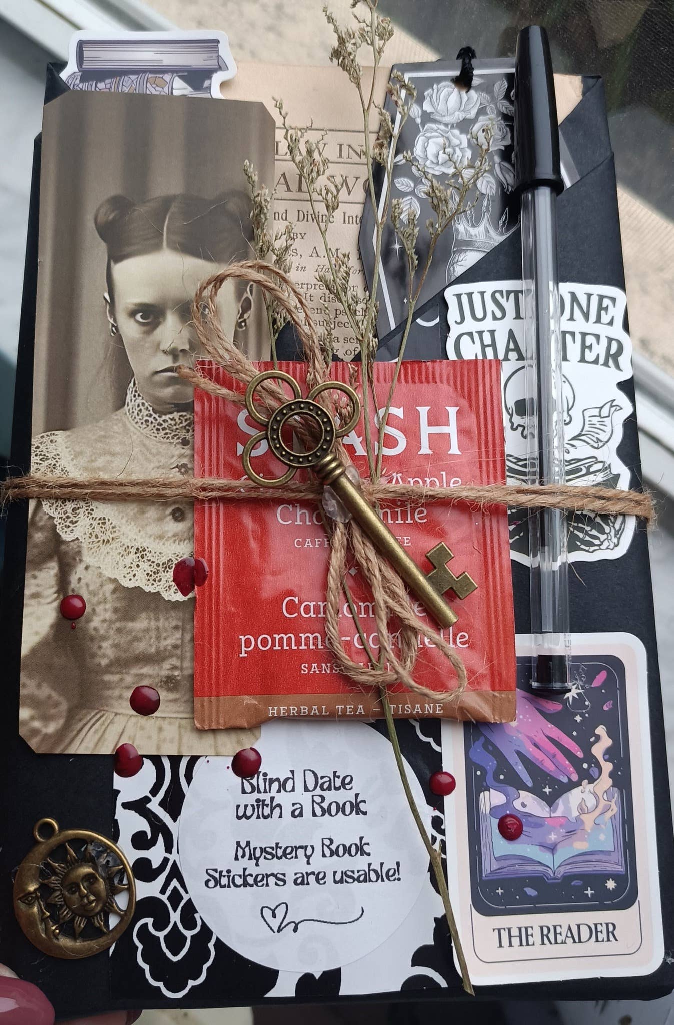 Blind Date with a Book ~ BRAND NEW books