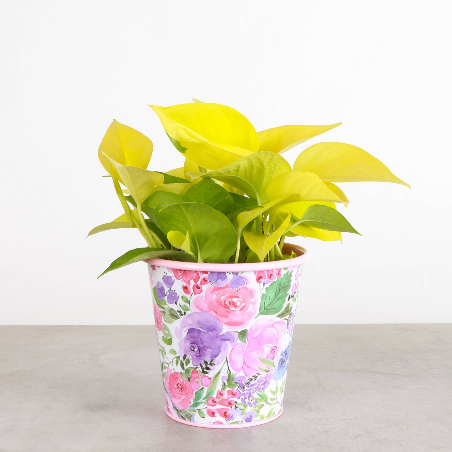 4" Floral Metal Pot for Houseplants