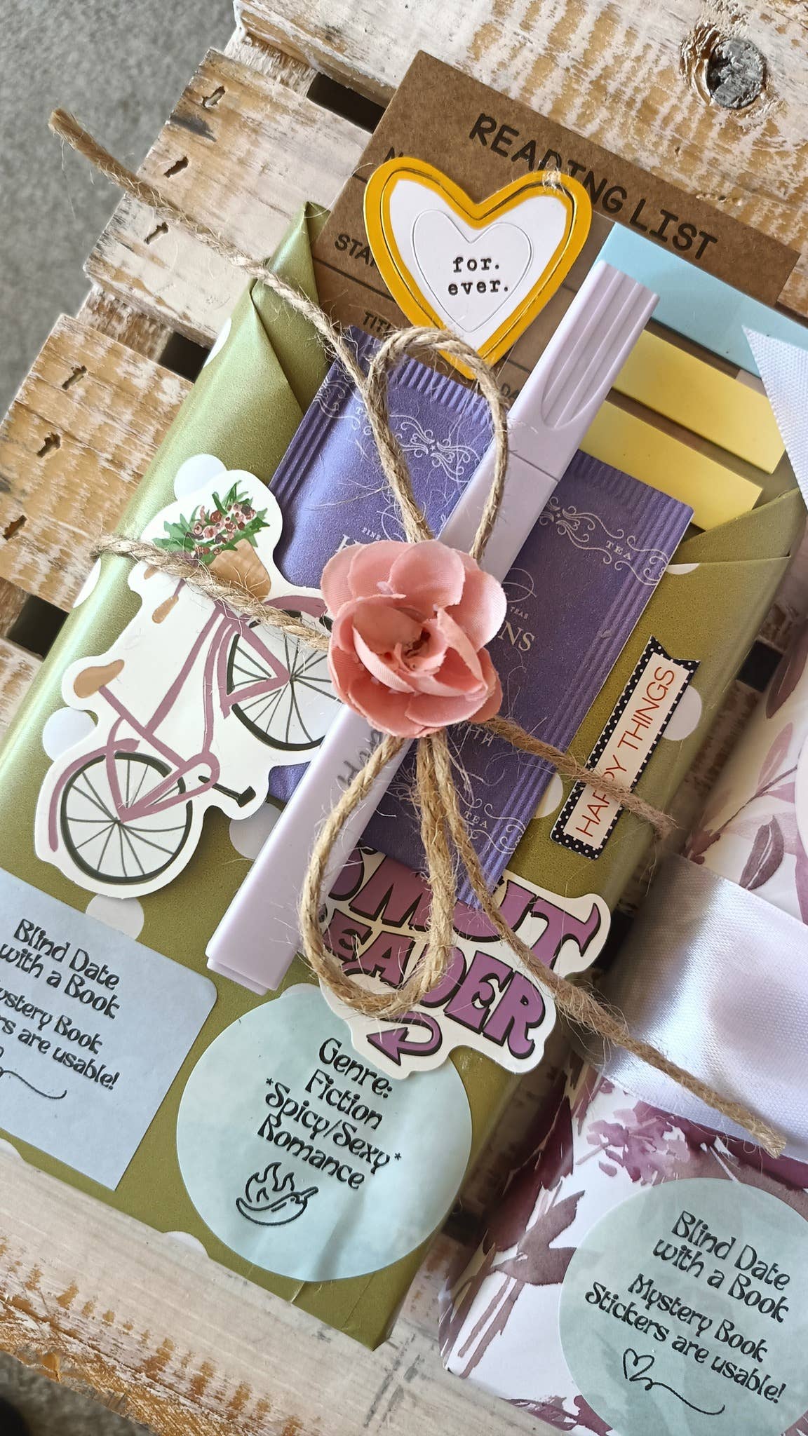 Blind Date with a Book ~ BRAND NEW books