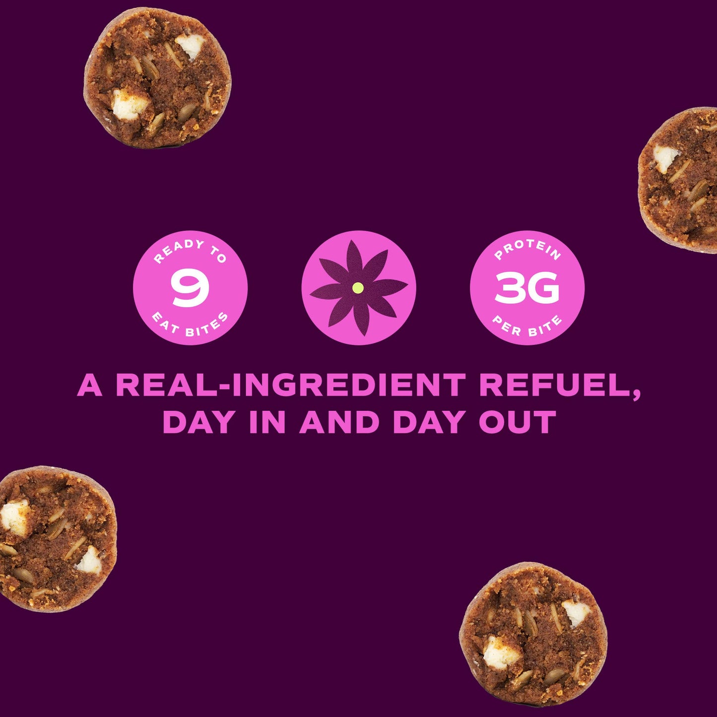 Cinnamon Bun Protein Balls 4.5 oz- Healthy Snack