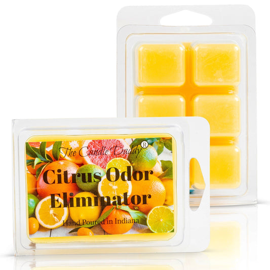 Citrus Odor Eliminator Scented Wax Melts - 2 oz - 6 Cubes: 1 Pack of Wax Melts