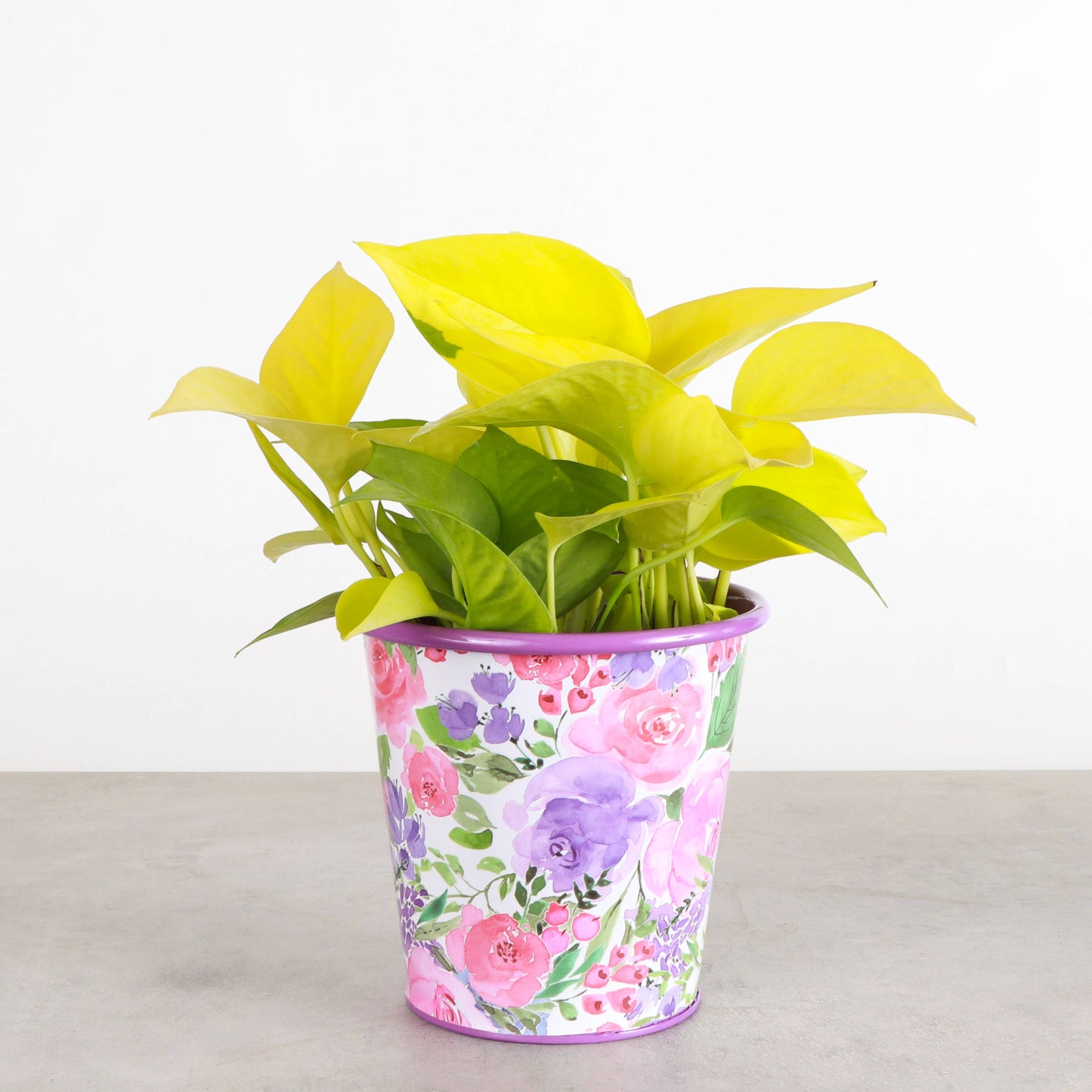 4" Floral Metal Pot for Houseplants