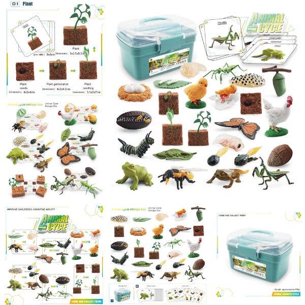 Animal Growth Cycle Science Kit - STEM Learning - Carrying