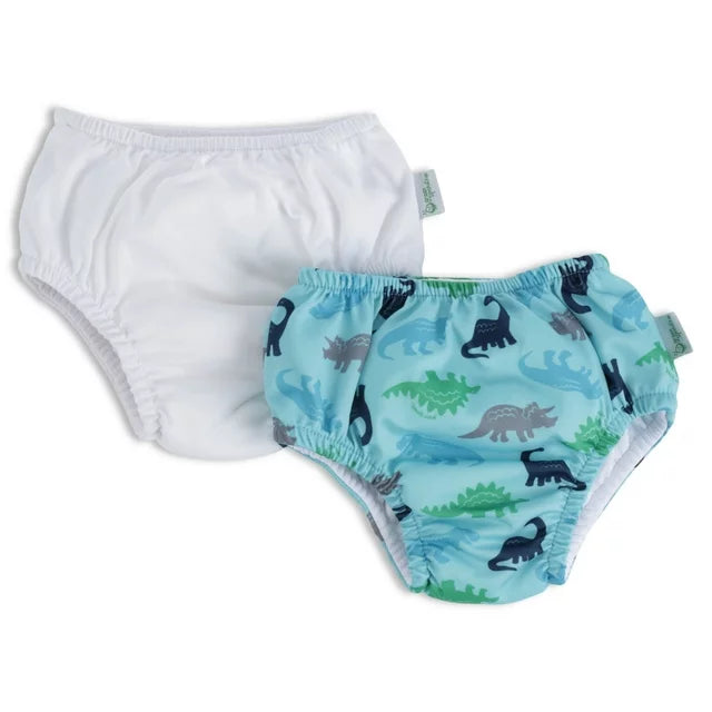 Baby and Toddler Pull-up Reusable Absorbent 2PK Swimsuit Diaper