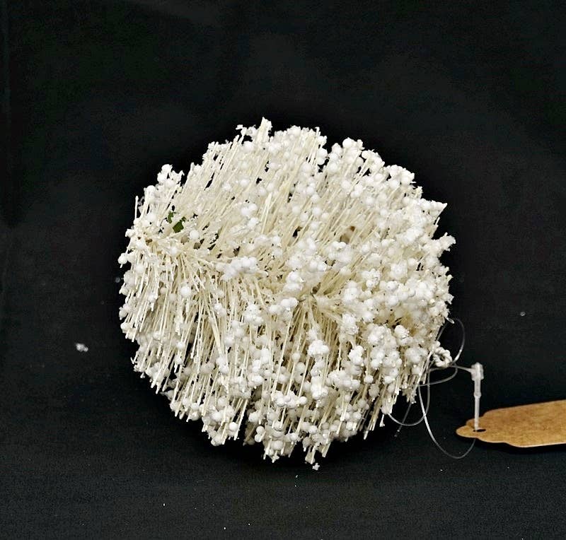 11213- 4in Snowy Brush Pine Ball-White-0/72pcs