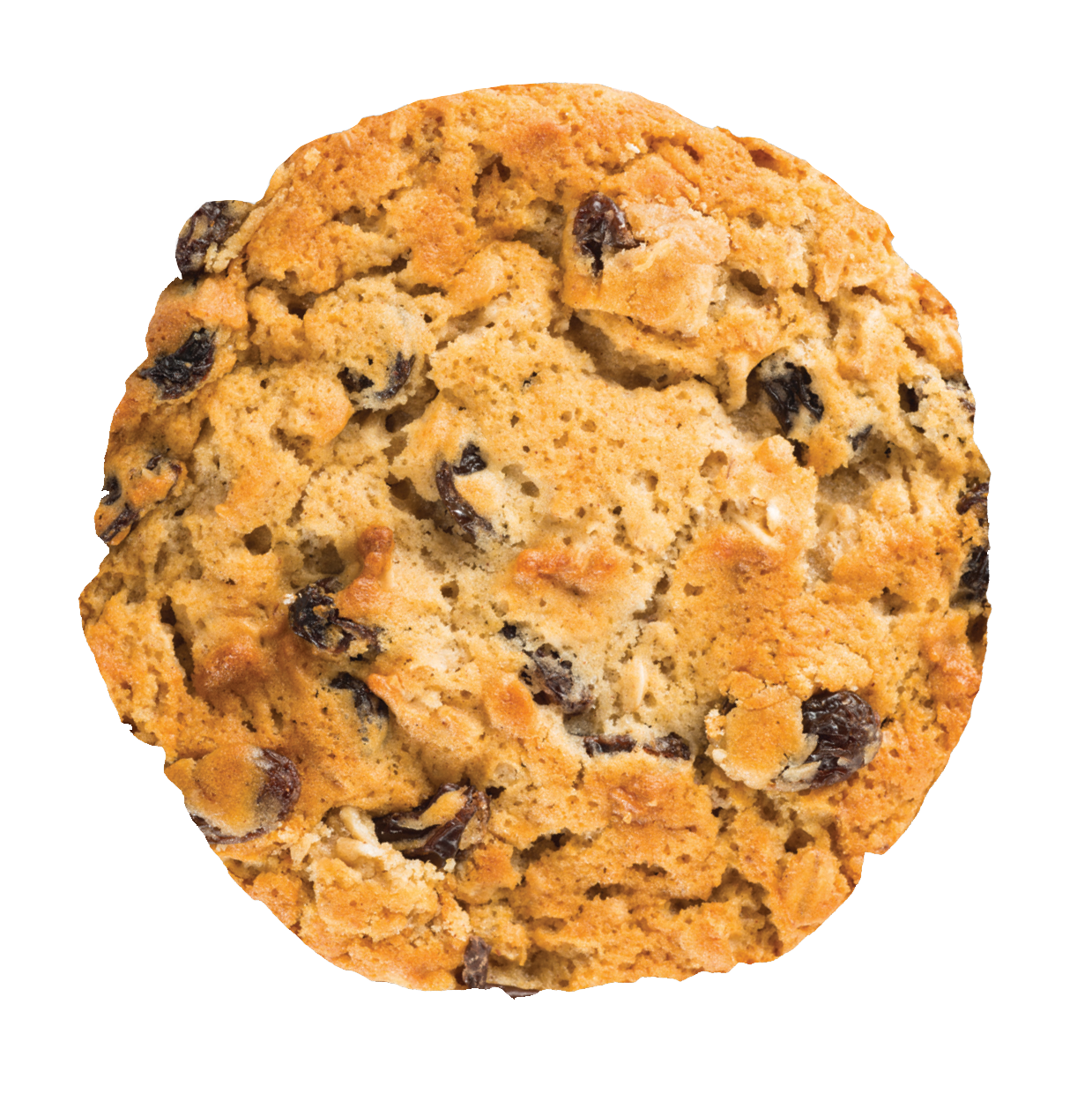 Oatmeal Raisin