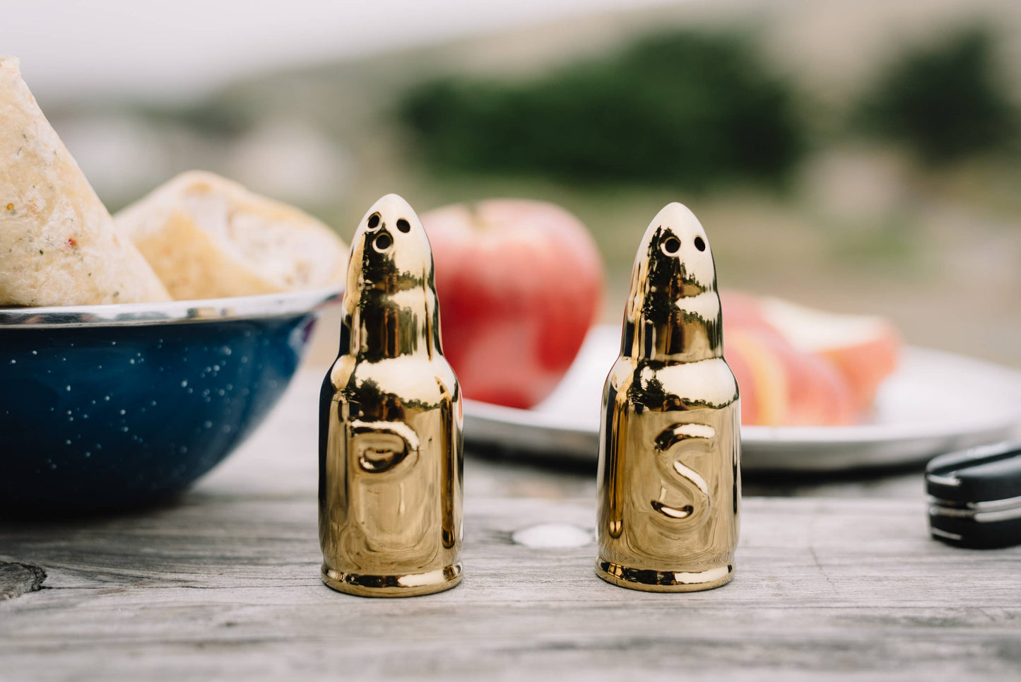Bullet Salt and Pepper Shakers