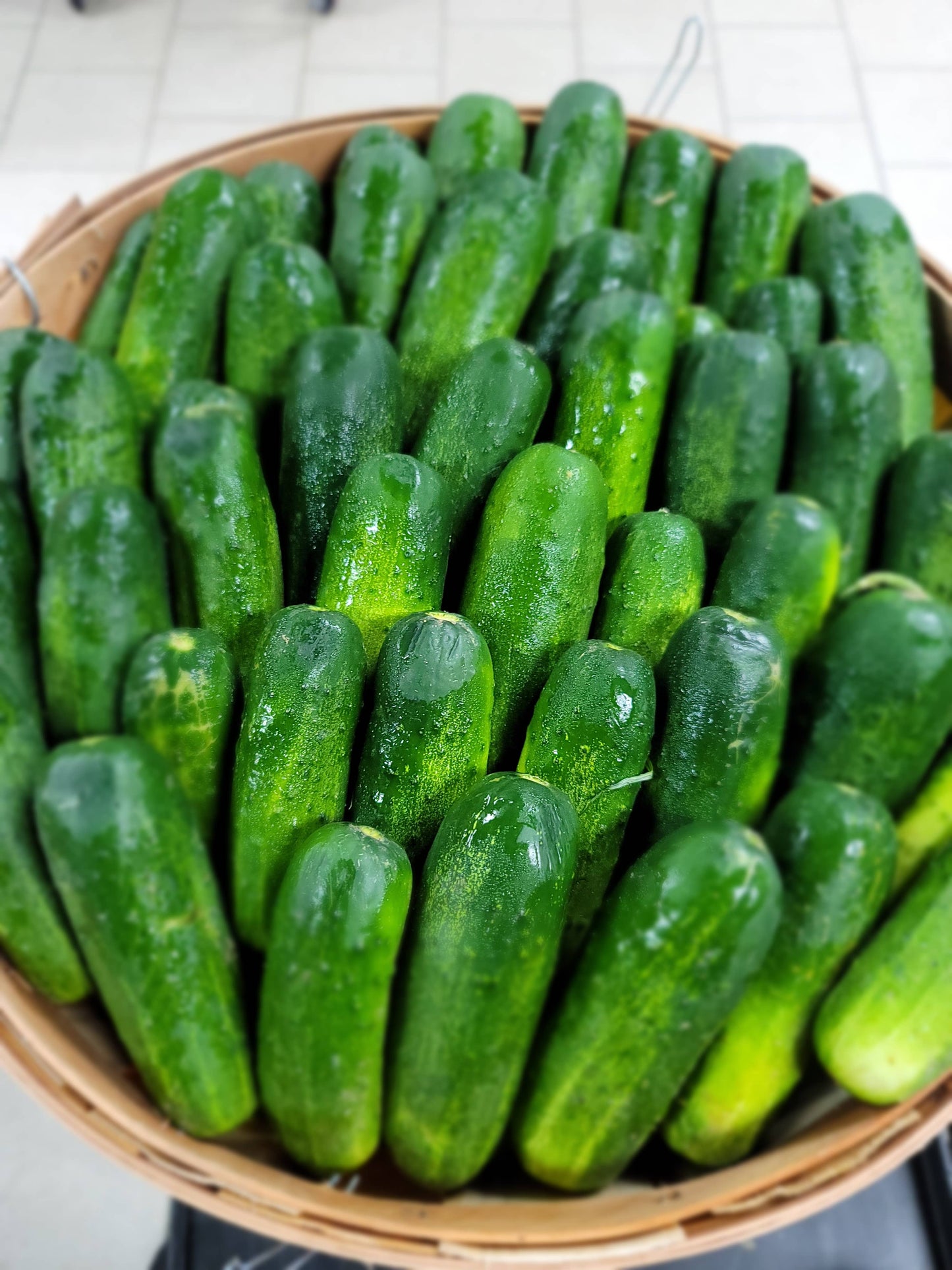 Garlic Dillicious Pickles, 16oz