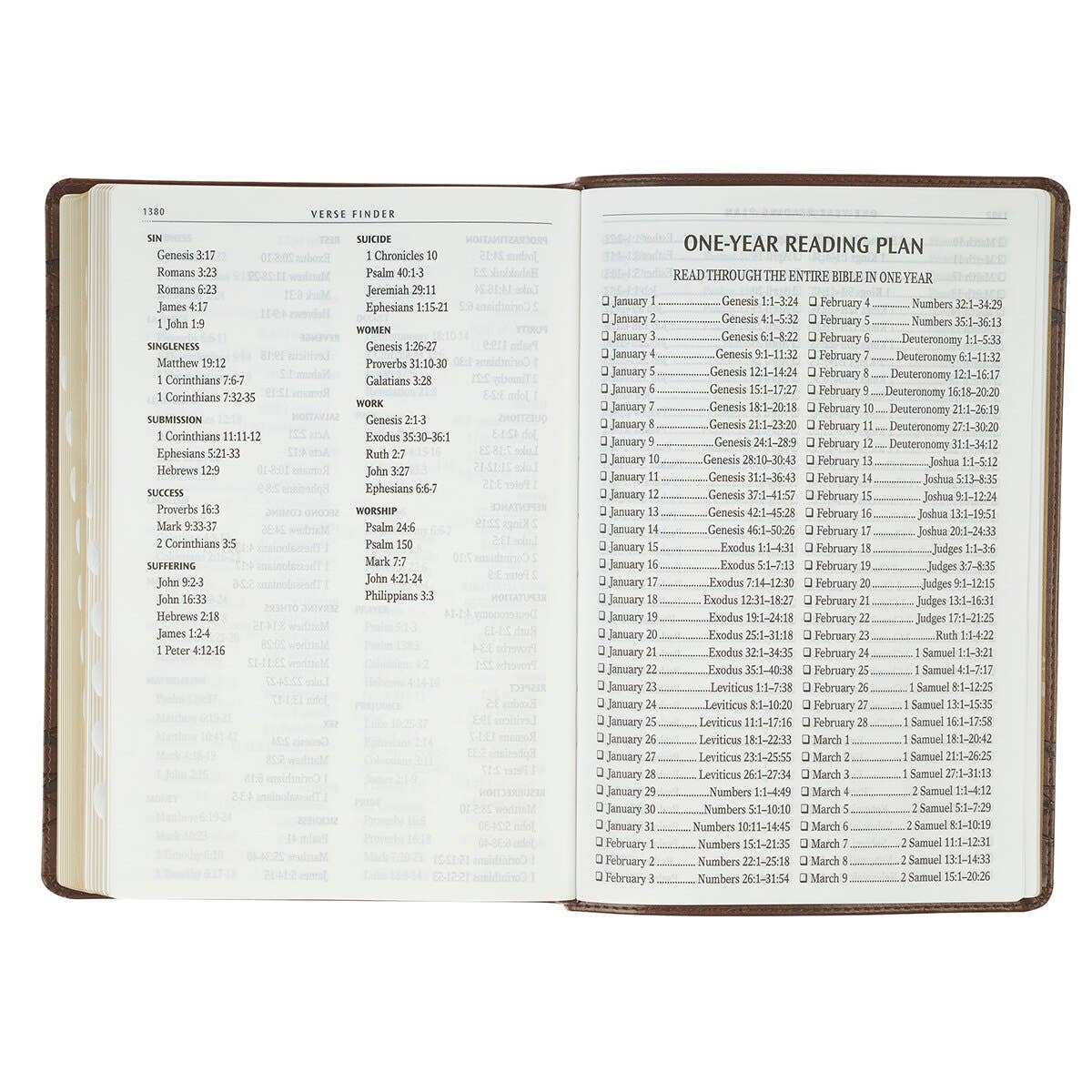 KJV Bible Giant Print Full-size Faux Leather, Crown/Amazing