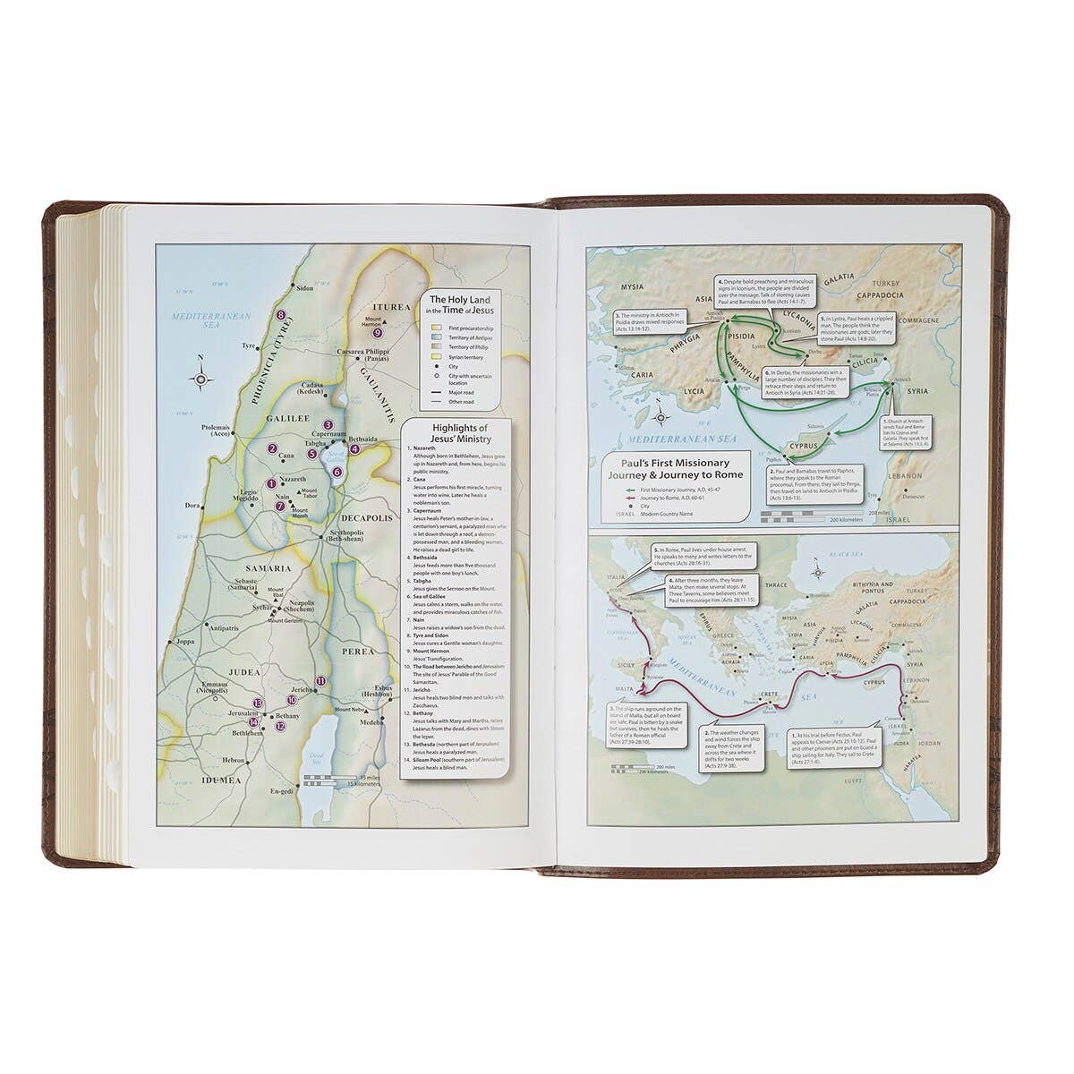 KJV Bible Giant Print Full-size Faux Leather, Crown/Amazing