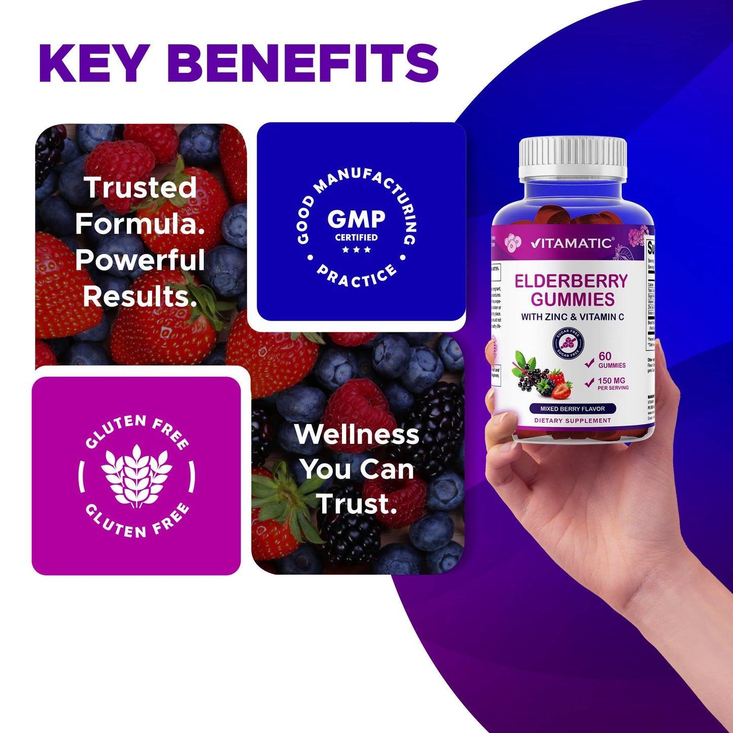 Vitamatic Elderberry Gummies with Vitamin C & Zinc –60 Gummy