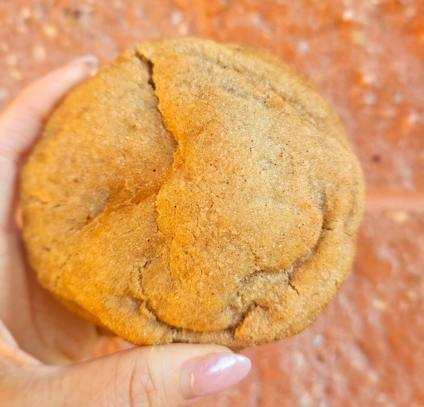 Pumpkin Snickerdoodle (Seasonal/Limited Edition)