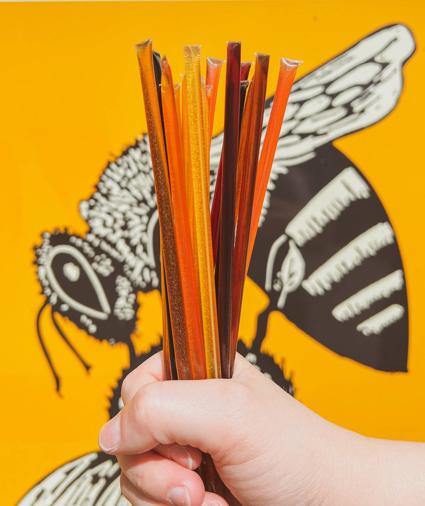 Honey Sticks Variety Pack - Pack of 16