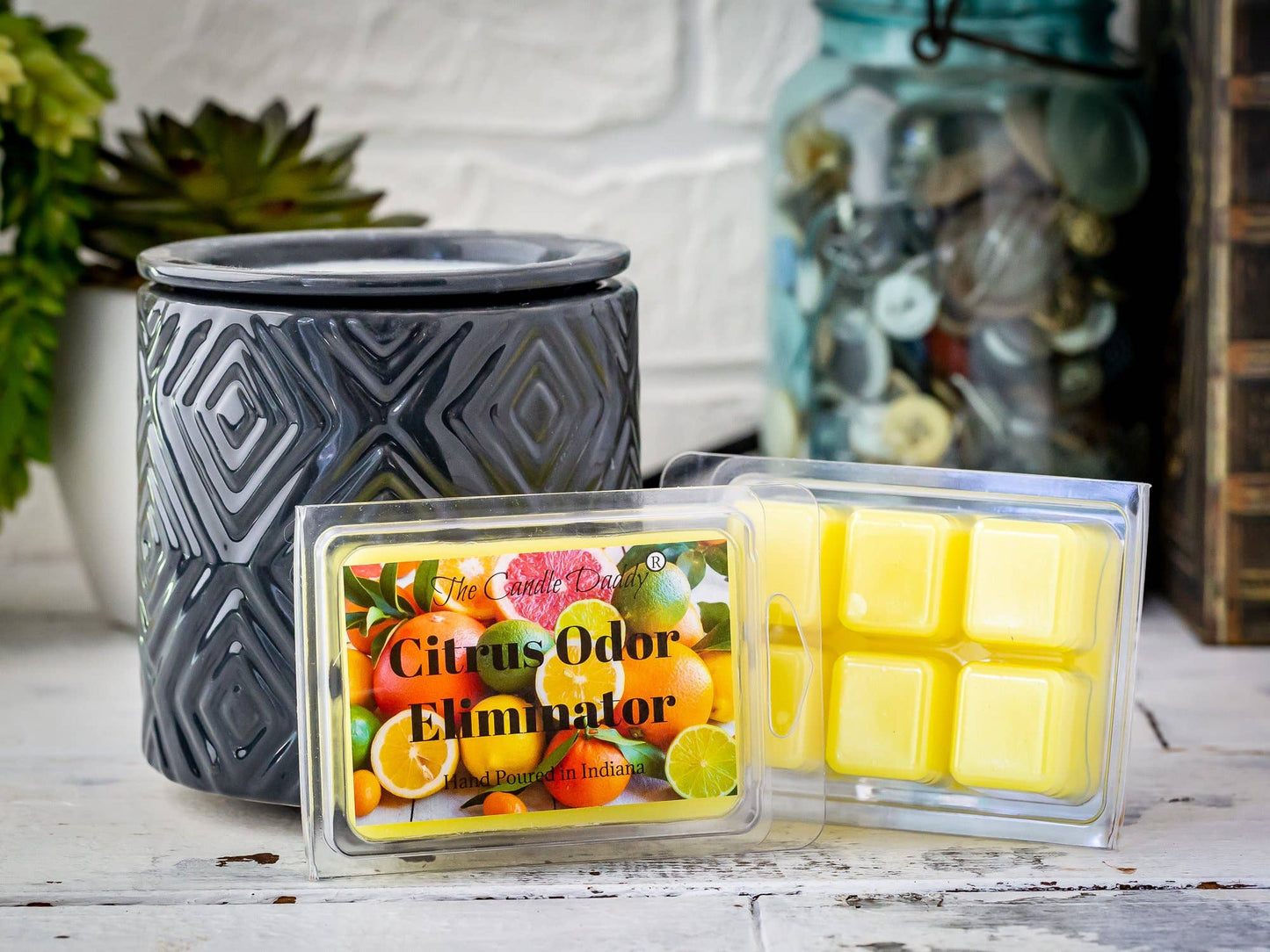 Citrus Odor Eliminator Scented Wax Melts - 2 oz - 6 Cubes: 1 Pack of Wax Melts