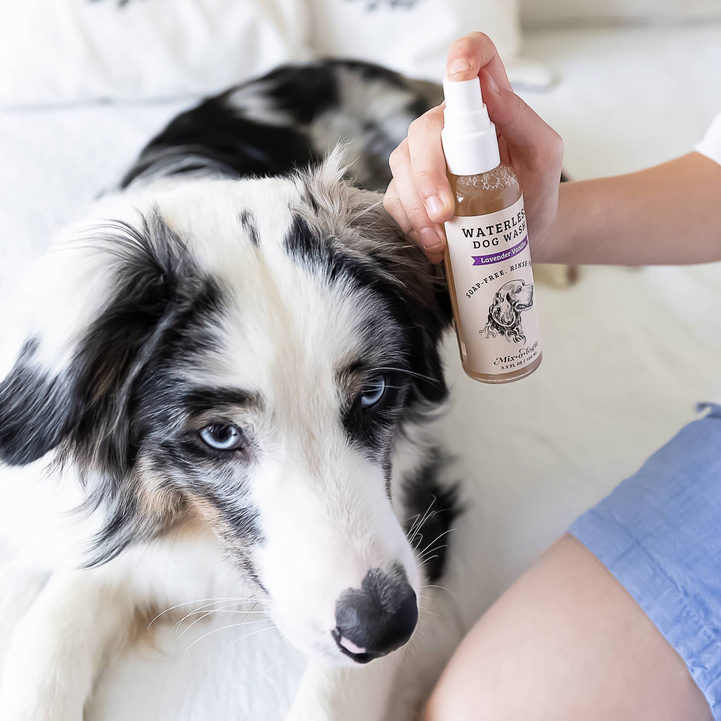 Lavender Vanilla Waterless Dog Wash