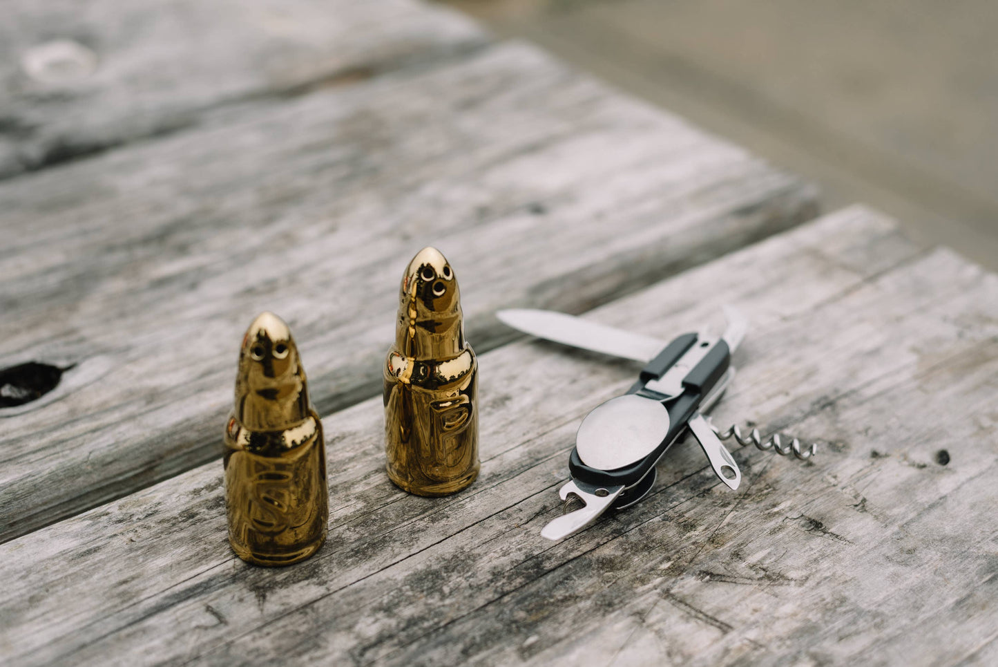 Bullet Salt and Pepper Shakers