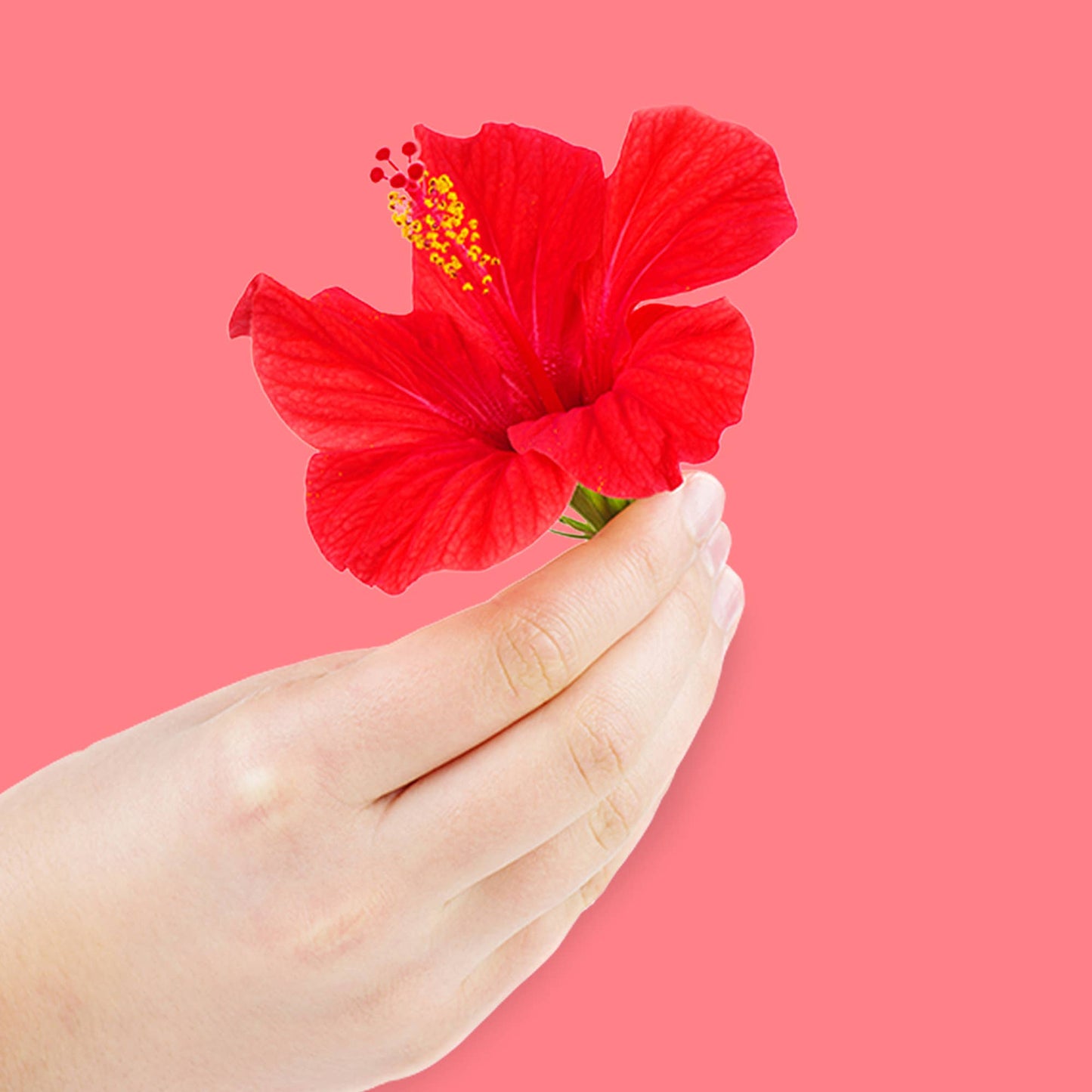 Poo~Pourri Tropical Hibiscus Travel Size 10mL