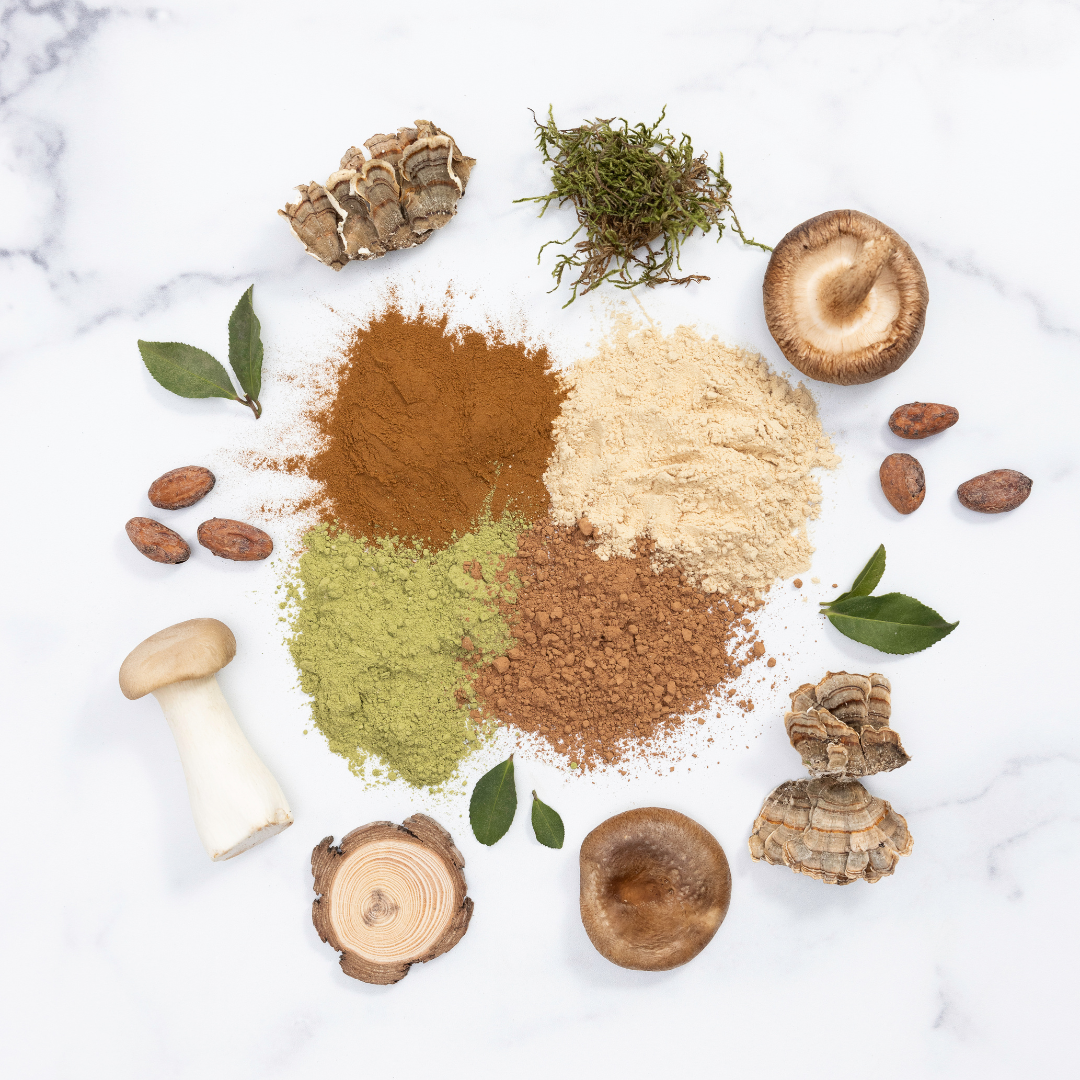 Be Well Organic Lion's Mane Mushroom Powder Drink Mix